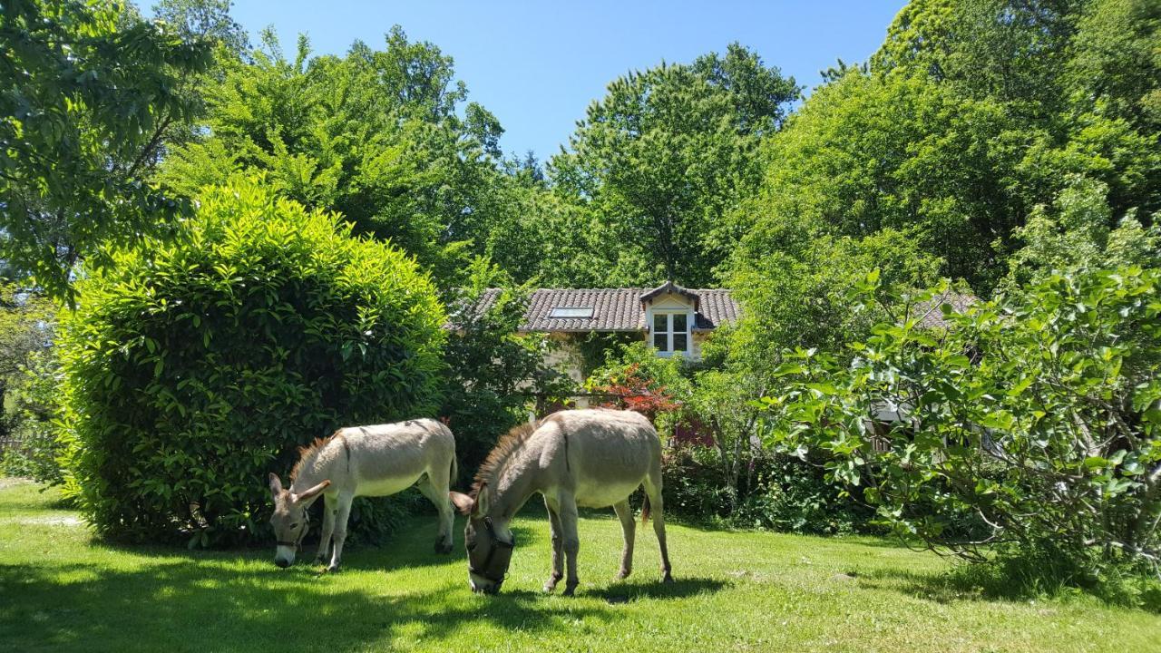 Le Moulin De Pensol - Gites Ngoại thất bức ảnh